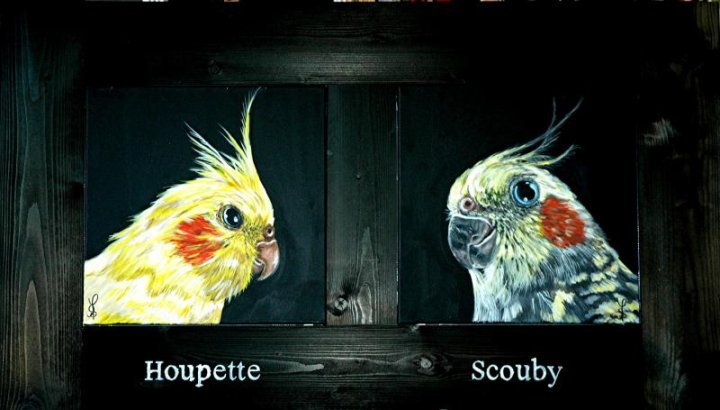 Houpette et Scouby